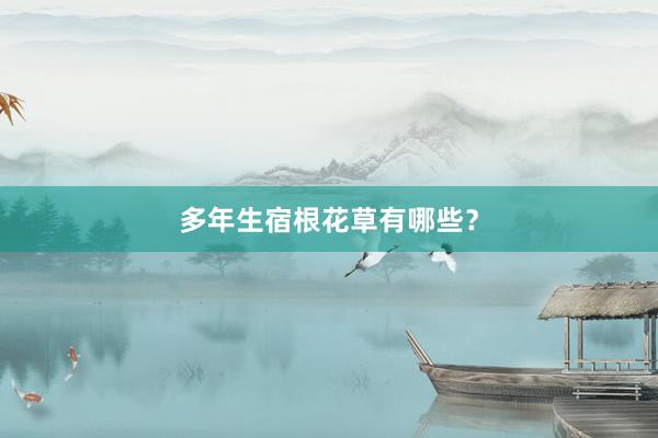 多年生宿根花草有哪些？