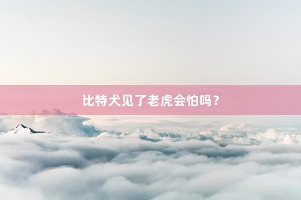 比特犬见了老虎会怕吗？