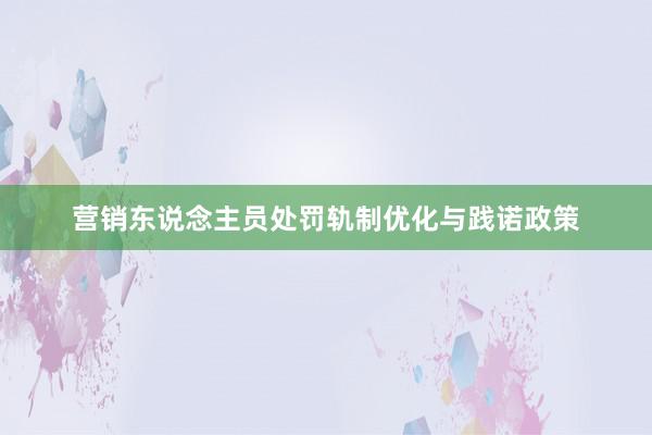 营销东说念主员处罚轨制优化与践诺政策